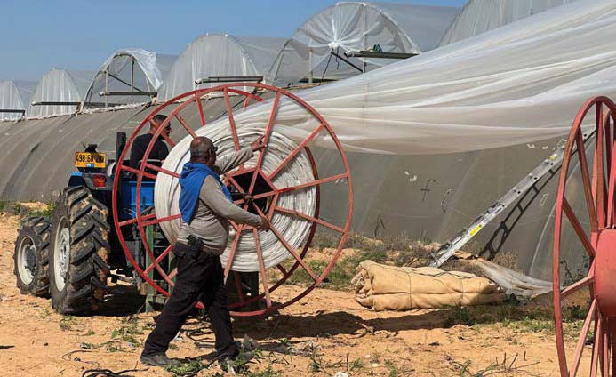 פרוייקט UNIDO של האו"ם מקדם צמצום פסולת חקלאית ופסולת אריזות בישראל