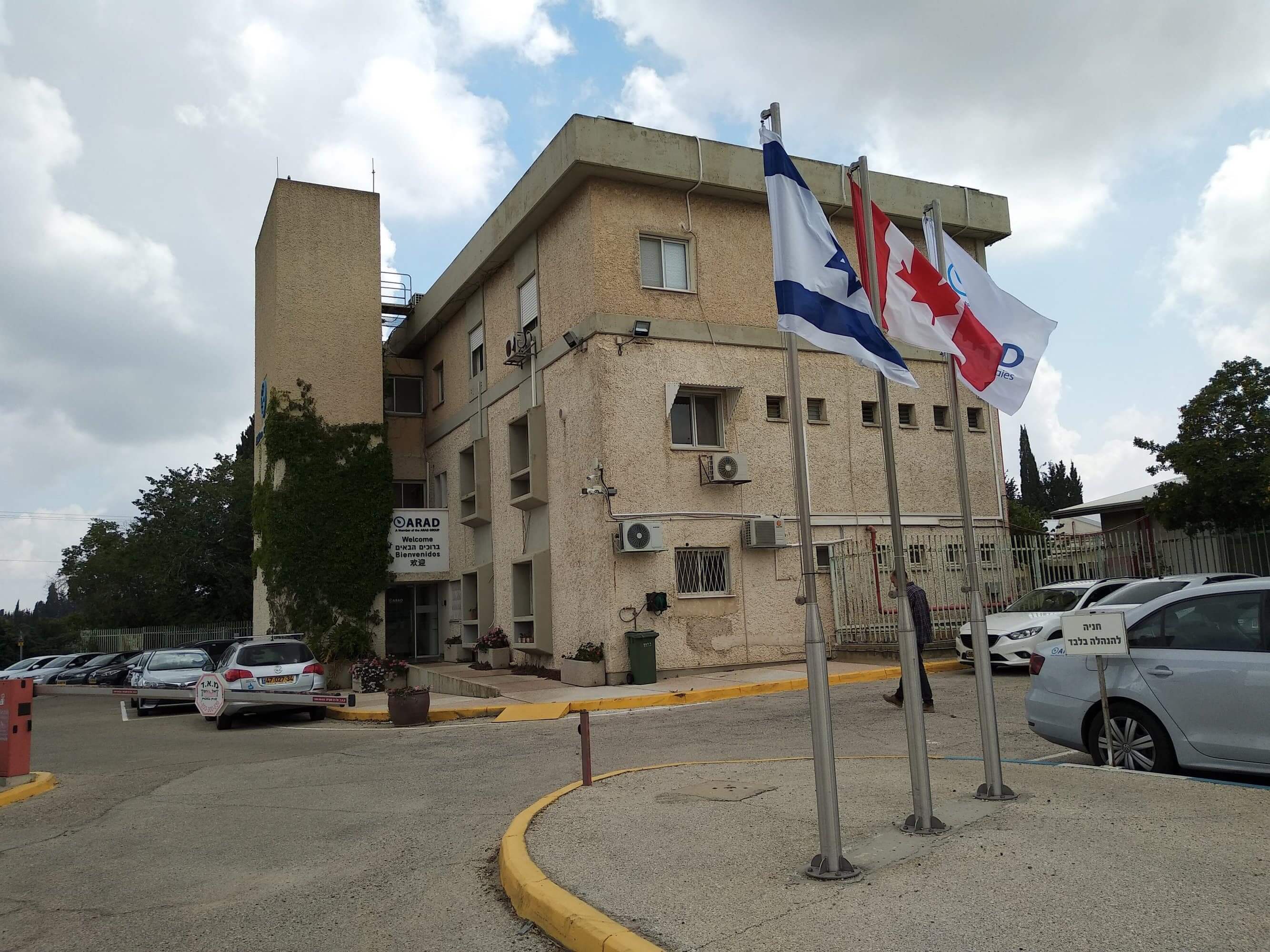 ארד, דליה, מדי מים